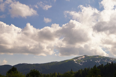 Similar image 1348367