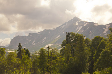 Similar image 1348374