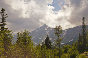 Similar image 1348379