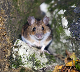 Similar image 1348703