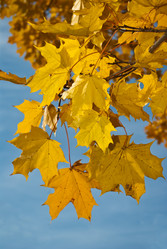 Similar image 1348743