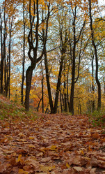 Similar image 1348745