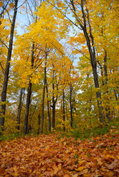 Similar image 1348746