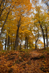 Similar image 1348747