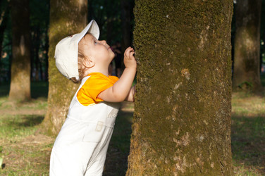 Similar image 1348749