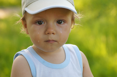 Similar image 1348753