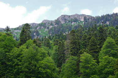 Similar image 1348756