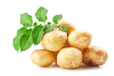 Similar image 1348785