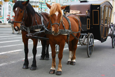 Similar image 1348799