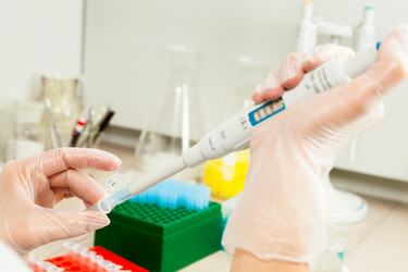 Similar image 1348862