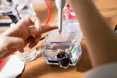 Similar image 1348942