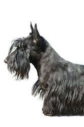 Similar image 1348948