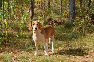 Similar image 1348950