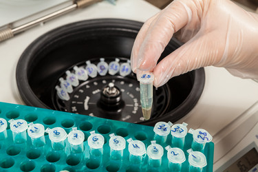 Similar image 1348962