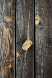 Similar image 1348989