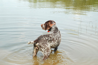 Similar image 1348991