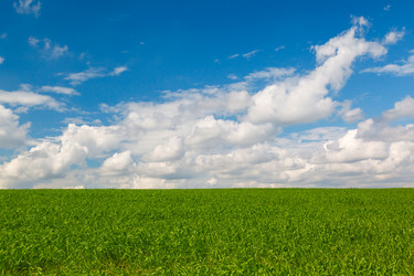 Similar image 1348997