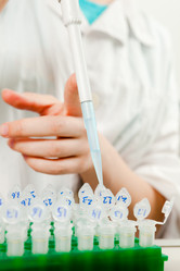 Similar image 1349000