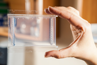 Similar image 1349001