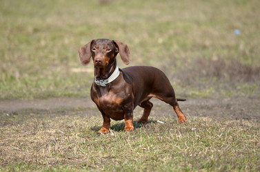 Similar image 1349013