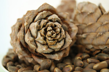 Similar image 1349015