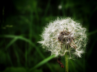 Similar image 1349020