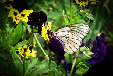 Similar image 1349022