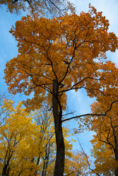 Similar image 1349112