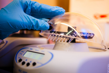 Similar image 1349138