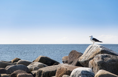 Similar image 1349200