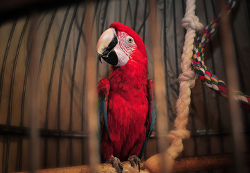 Similar image 1349354