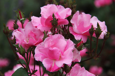 Similar image 1349362