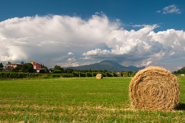 Similar image 1349381