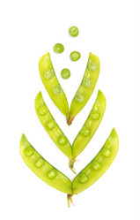 Similar image 1349387