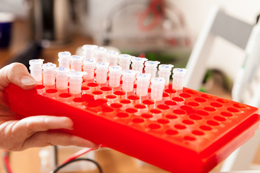 Similar image 1349396