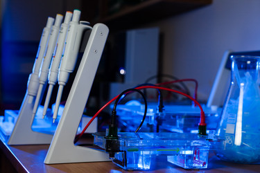 Similar image 1349397