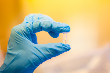 Similar image 1349402