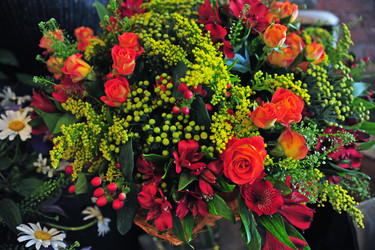 Similar image 1349523