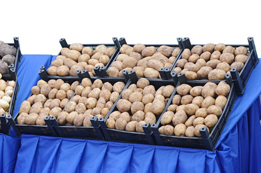 Similar image 1349525