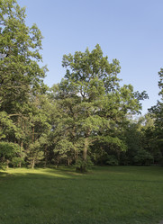 Similar image 1349529