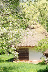 Similar image 1349531