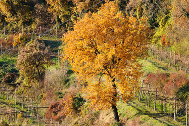 Similar image 1349539