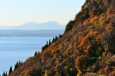 Similar image 1349540