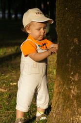 Similar image 1349774