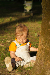 Similar image 1349777