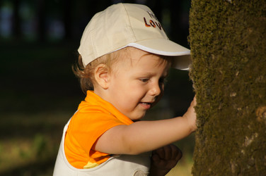 Similar image 1349781