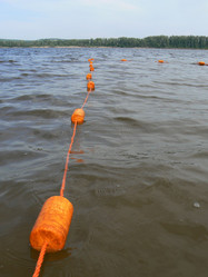 Similar image 1352329