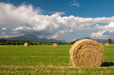 Similar image 1352351