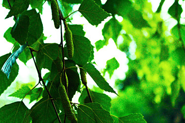 Similar image 1352357