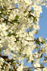 Similar image 1352372